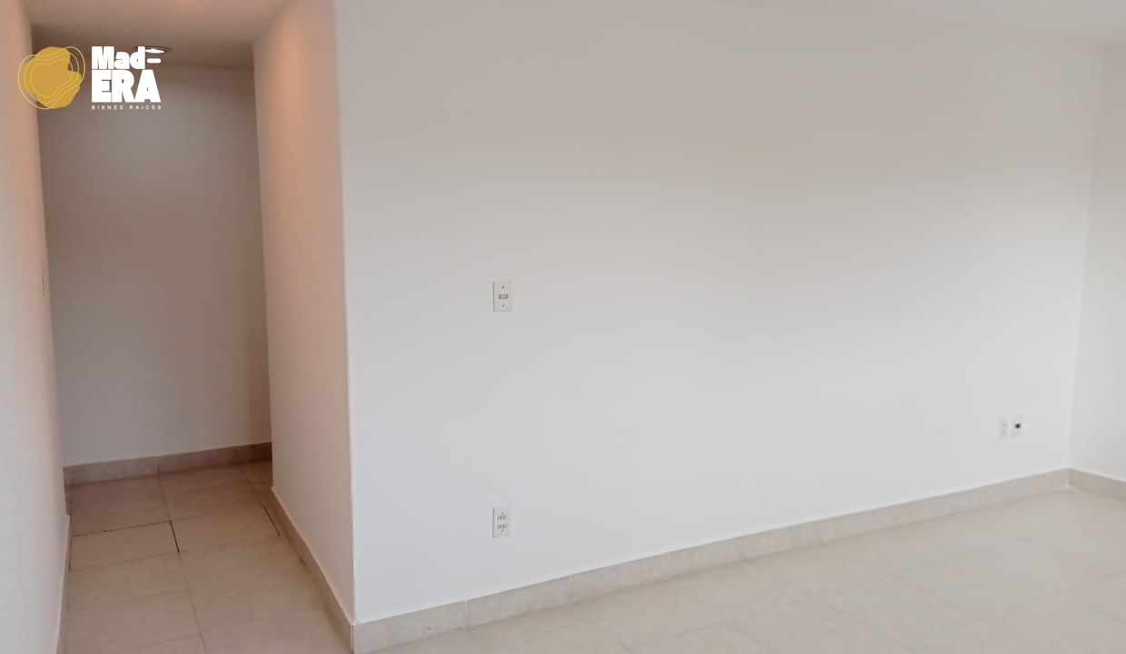 picture (14)