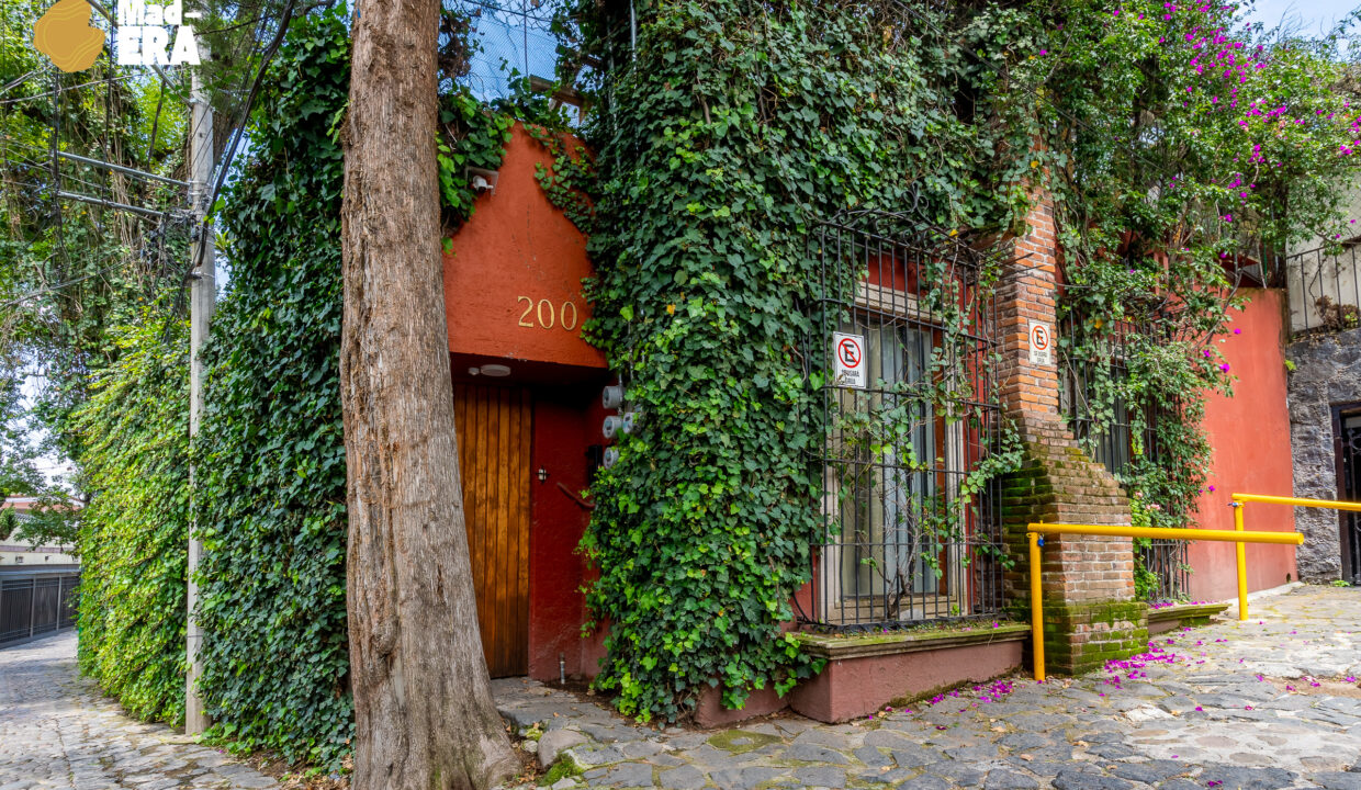 Ocotepec_200_D2_Web_Watermark-1