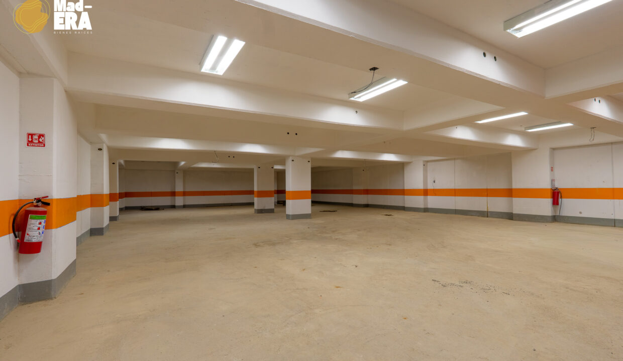 Emiliano_Zapata_Web_Watermark-6