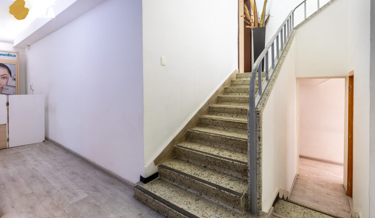 Polanco_Web_Watermark-11