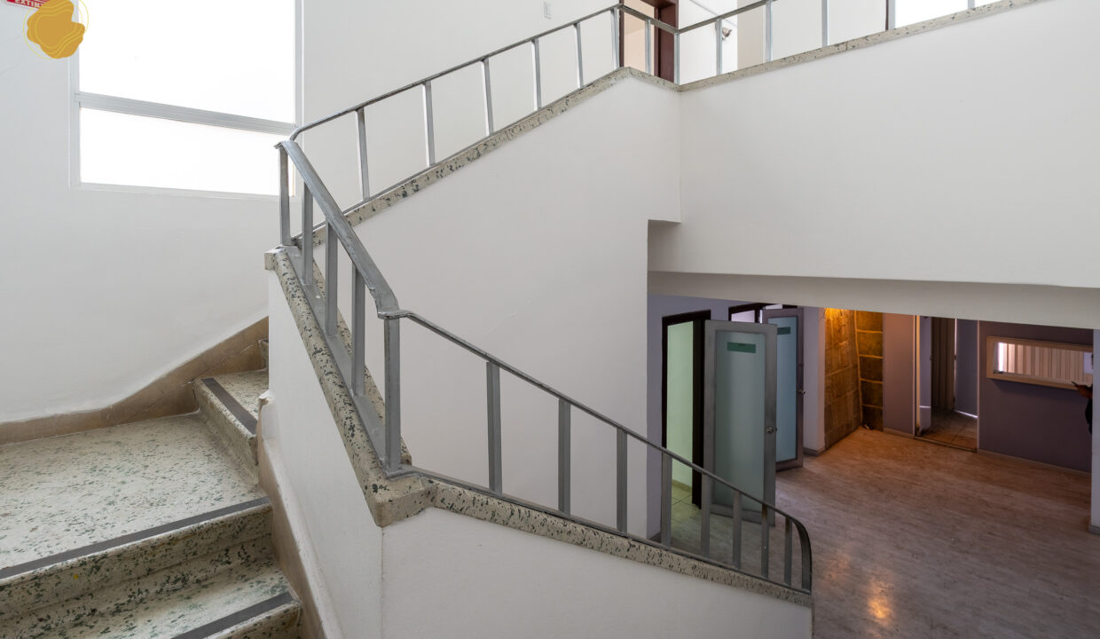 Polanco_Web_Watermark-24