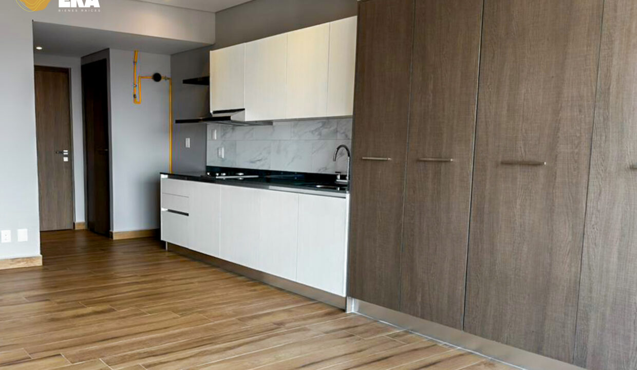 Insurgentes_Norte_86_Web_Watermark-4