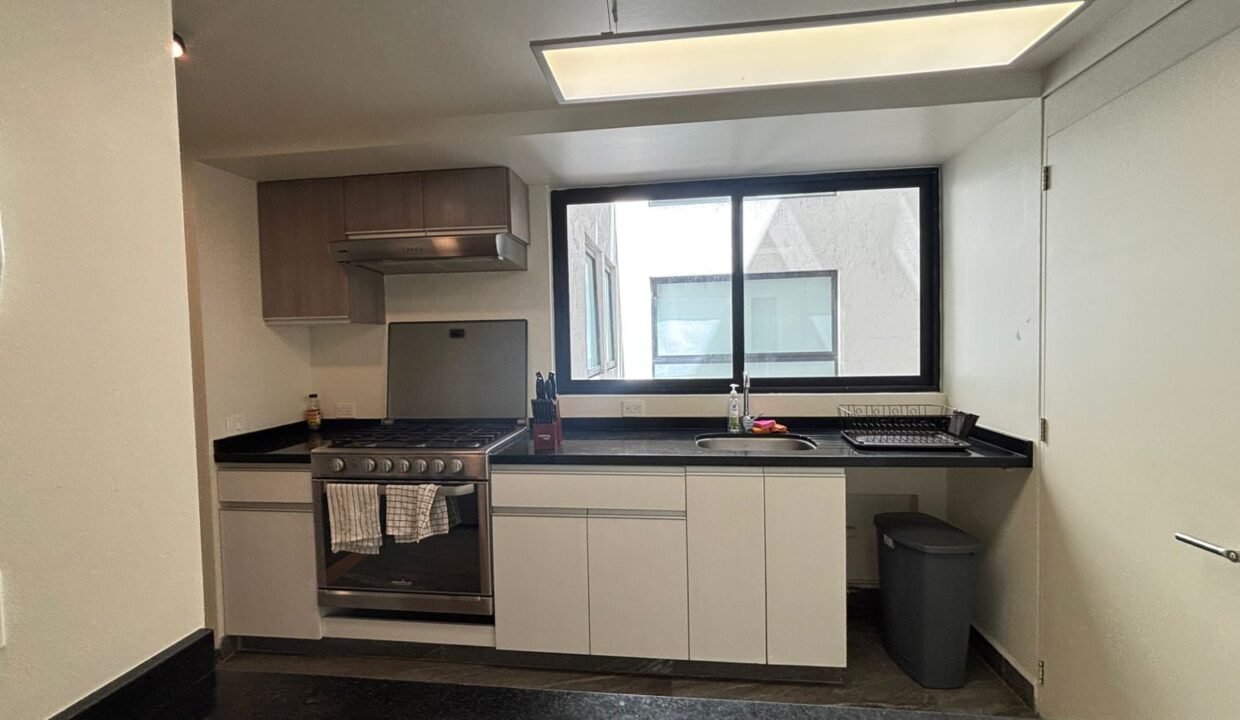 WhatsApp Image 2026-02-19 at 14.03.32