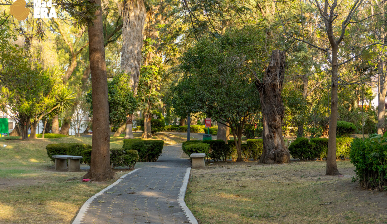 Torres-Lindavista-WEB_Watermark-60