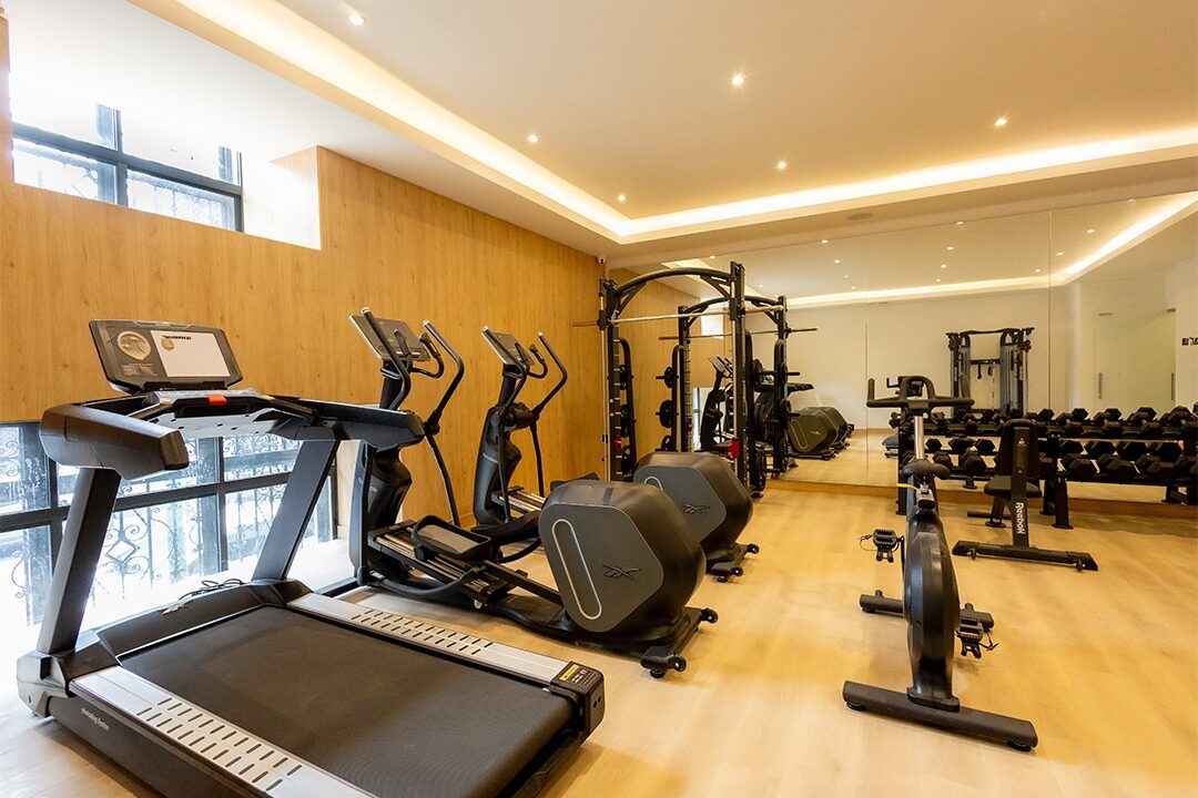 imgi_11_Gimnasio Vía Insurgentes